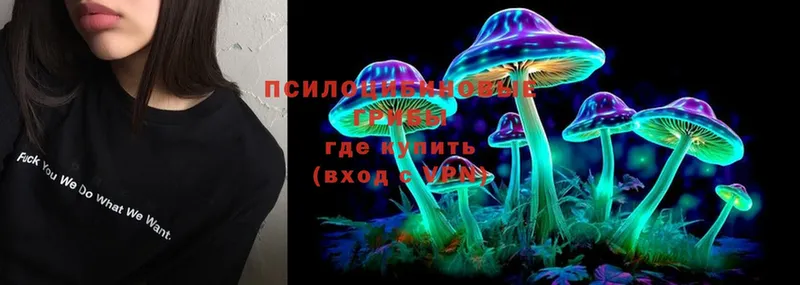 где купить наркоту  Агрыз  Псилоцибиновые грибы Psilocybine cubensis 